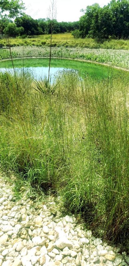 Teich Hutte Pond Cottage Rocky Hill Εξωτερικό φωτογραφία