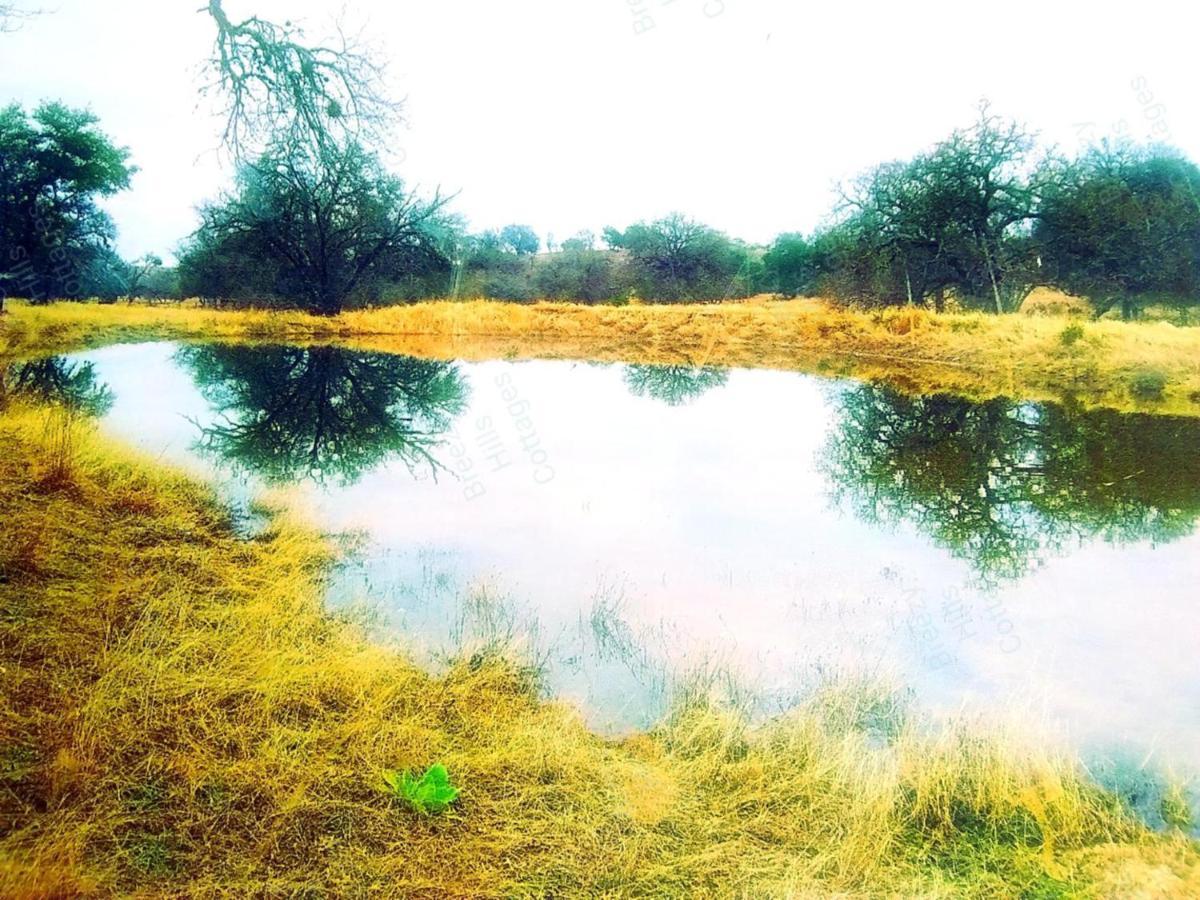 Teich Hutte Pond Cottage Rocky Hill Εξωτερικό φωτογραφία